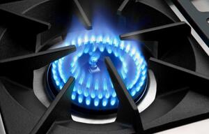 Capital Cooking - 48" Freestanding Gas Range, 7.6 cu. ft. Double Ovens, 8 Power-Flo Burners, Infrared Broiler