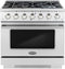 Cosmo - Commercial-Style 36 in. 4.5 cu. ft. Gas Range with 6 Italian Burners and Heavy Duty Cast Iron Grates in Stainless Steel
| COS-GRP366