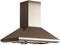 Elica - LEONE ISLAND - Elica Pro - 42" W x 27" D x 12 3/4" H, Stainless - Island Hoods | ELI142S2