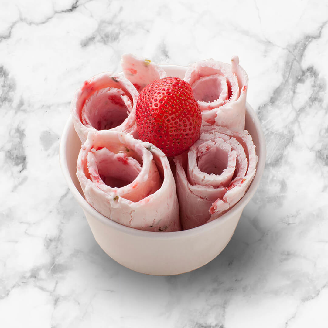 Whynter - Portable Instant Ice Cream Maker Frozen Pan Roller in Stainless Steel | ICR-300SS Whynter - Portable Instant Ice Cream Maker Frozen Pan Roller in Stainless Steel | ICR-300SS