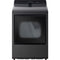 LG - 7.3 CF Gas Dryer - DLG8201L