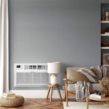 TCL - 10,000 BTU Smart Through-the-Wall AC 230V - White - H10T9EX1-A