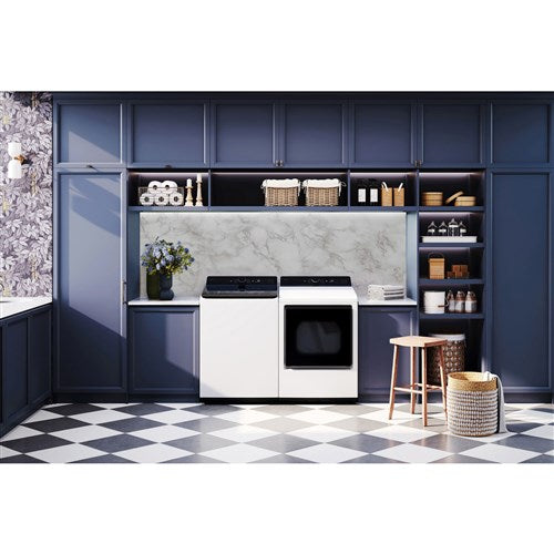 LG - 7.3 CF Gas Dryer, EasyLoad, AI Sensor Dry - DLG8401WE