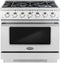 Cosmo - Commercial-Style 36 in. 4.5 cu. ft. Gas Range with 6 Italian Burners and Heavy Duty Cast Iron Grates in Stainless Steel
 | COS-GRP366