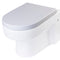 EAGO - Replacement Soft Closing Toilet Seat for WD101 | R-101SEAT