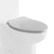 EAGO - Replacement Soft Closing Toilet Seat for TB377 | R-377SEAT